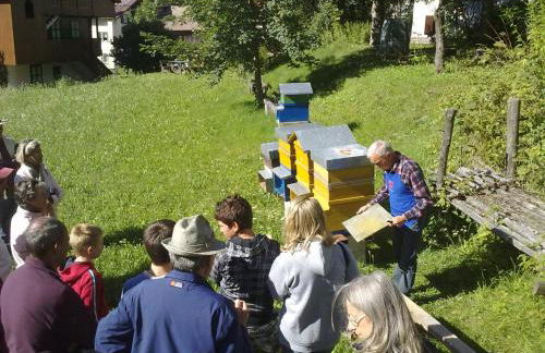 Agritur Ciasa Dò Parè - Foto 36