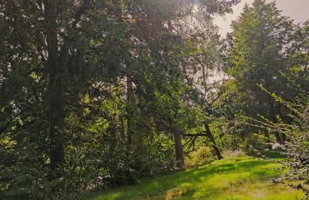 Ferienhaus Laange - Foto 21