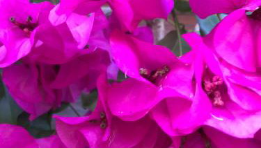 Gane Landetxea - Foto 3, Garden