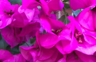 Gane Landetxea - Foto 3