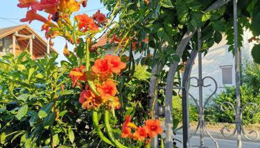 Casa Antico 1 - Foto 5