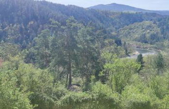 La petite maison d'Hose - Foto 23