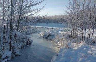 Między Olchami domek nad jeziorem. Noclegi całoroczne. Cisza, spokój. - Foto 45