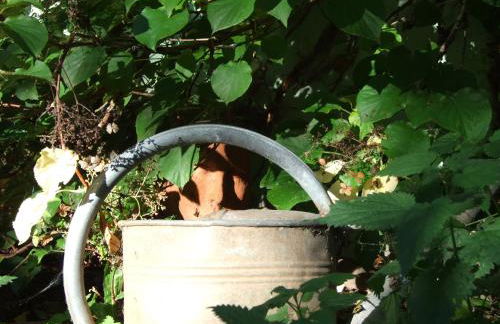 Scheune Landliebe in Holz und Lehm - Foto 17