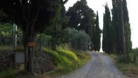 Agriturismo Villino del Grillo - Foto 3