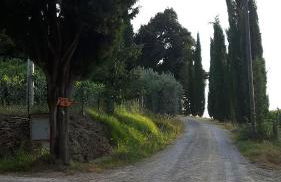 Agriturismo Villino del Grillo - Foto 3