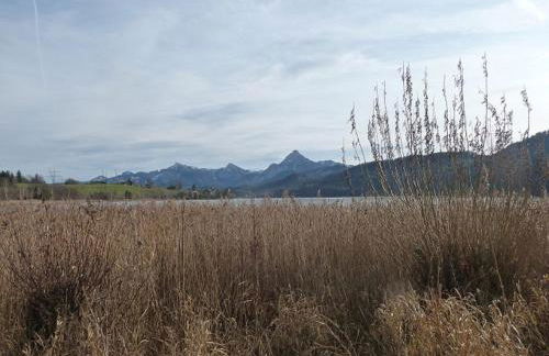 Ferienwohnung Vogel - Foto 15