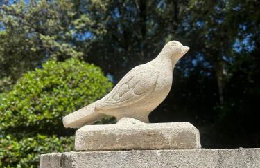 La maison aux oiseaux - Luberon - Foto 49