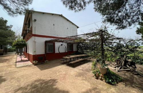 Finca Los Molinos - Foto 3