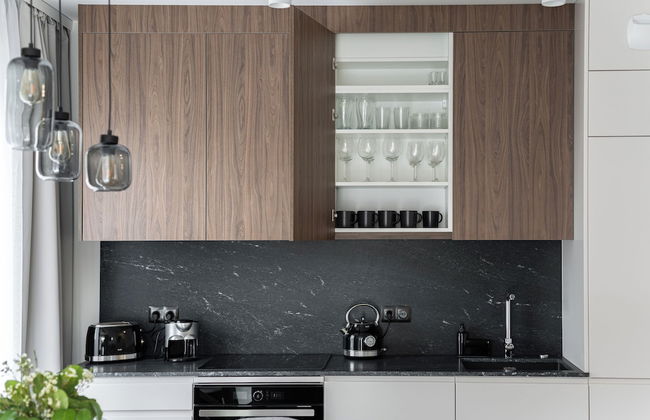 Lion Apartments - Scala City Center IA - Foto 7