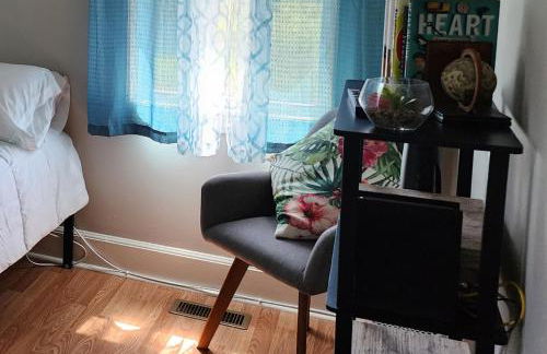 Hangout by firepit near USC with PET - Foto 4