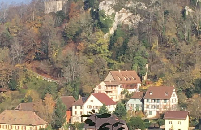 La Maison des Fontaines D'alsace - Photo 41