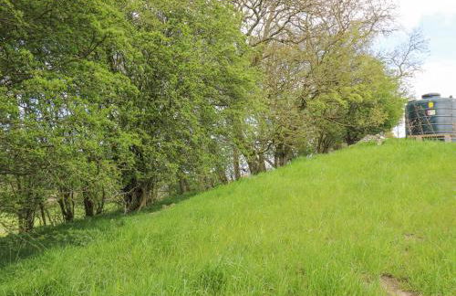 Barcud Coch - Red Kite - Photo 36