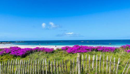 Alice Cottage - Foto 2