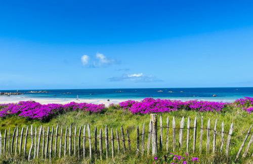 Le petit Alice cottage - Foto 30