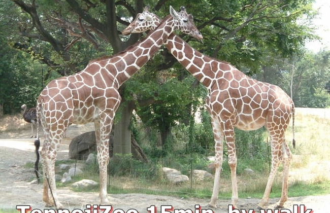 Montana Flat Yebisu - Foto 48