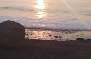 Terraza Alcalá - Photo 38