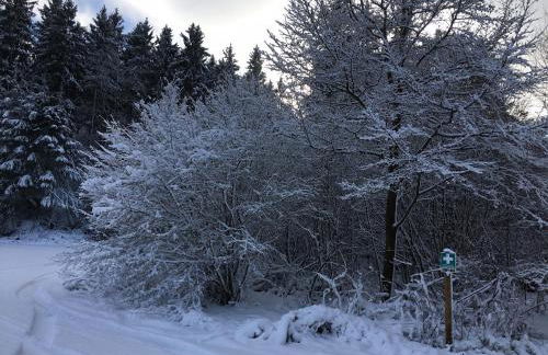 Ferienhaus Stausee Bitburg - Foto 27