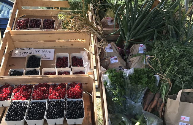 Strandsegård Ferielejligheder - Foto 68