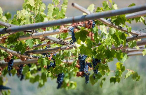 Le Capanne di Villa Margherita - Foto 22