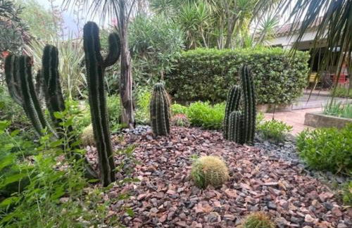 Villa Impressionniste - au coeur de Montpellier, villa 290 m2, jardin tropical, piscine, cuisine extérieure - Foto 10