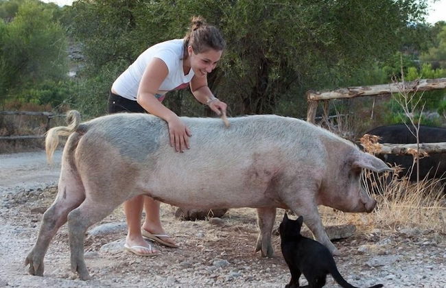 Ecoparco Neule' - Foto 27