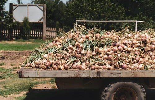 Can Casadellà - Foto 15