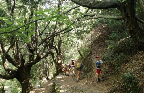 Gikas Apartments Triple Studio Sea View B6 - Foto 20