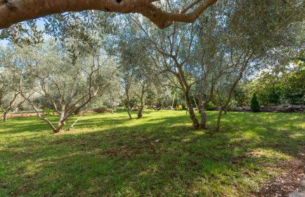 Apartman Kalac by Villas Guide - Photo 2