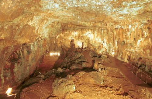 Captain's Gem - Foto 68