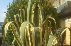 Buarcos Beach House - Foto 16