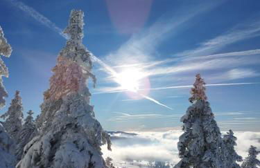 Gîte de la Diligence - Foto 11