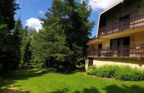 Leśne zacisze - dom z kominkiem i balią - Foto 28