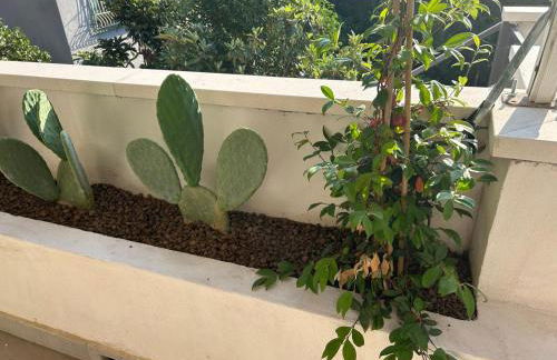 Tra Mare e Templi - Paestum - Foto 19