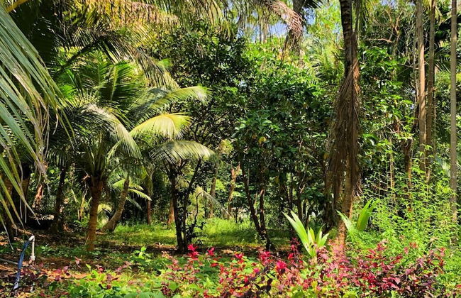 Seana Resort Phu Quoc - Photo 21