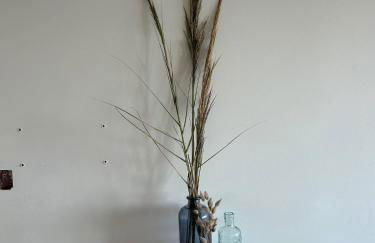 Nazaré Sol - Excelente Vista para o Mar - Foto 14