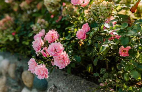 Landhaus John - Foto 44