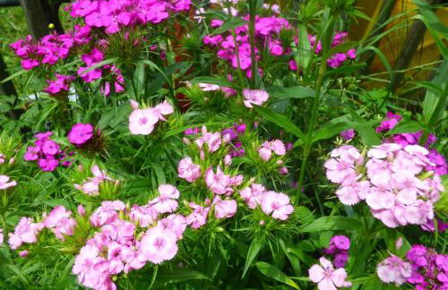 D'tente skylodge SKALI - Foto 77