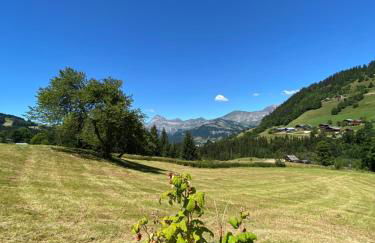 Les Georgières, 300m des pistes du Mont-Rond - Foto 27