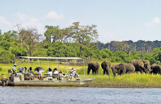 Miombo Mews - Foto 13