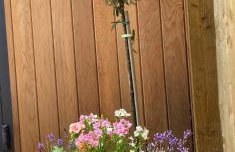 Hillview Cottage - Foto 22