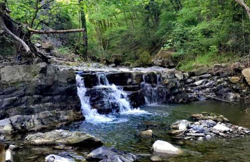 Casa nel bosco il Grottone - Foto 49