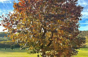 Holiday Home Sovenigo - Foto 67