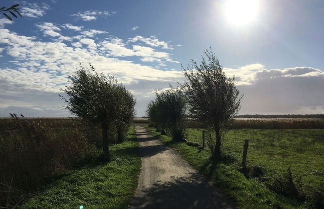 Baltic Sea Dromelhus - Foto 13