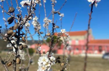 Casa das Jardas - Foto 7