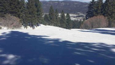 Spacious cozy chalet huge deck over seasonal creek - Foto 3