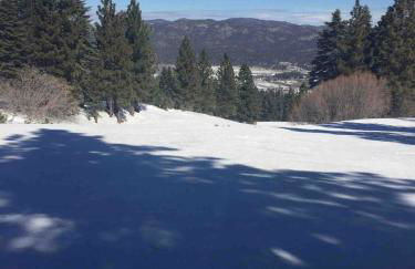 Spacious cozy chalet huge deck over seasonal creek - Foto 3