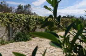 Stella Dei Campi - Foto 25