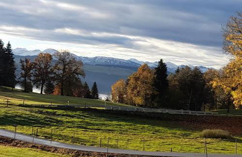 Ferienwohnung Pickenhan - Foto 67