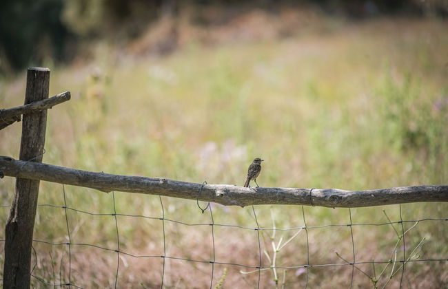 Hotel Monnàber Vell - Foto 39